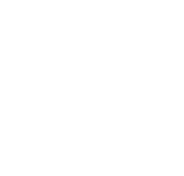 Welsh Government